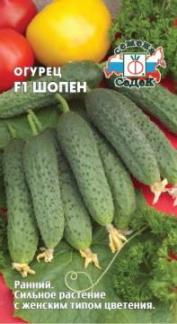 Огурец Шопен F1  Седек