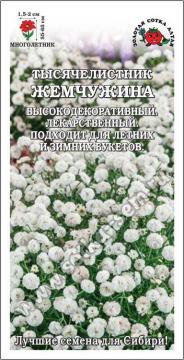 Цв. Тысячелистник Жемчужина бел.махр.  (Золотая сотка)