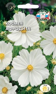 ЦВ. Космея Афродита белая Седек