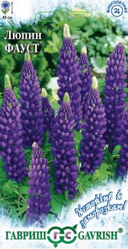 ЦВ Люпин многолистный Фауст Гавриш