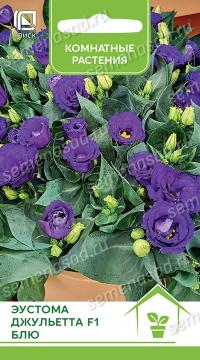Цв.Комн. Эустома Джульетта Блю  (Поиск)