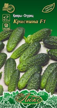 Огурец Криспина F1 Инвент-Плюс Тұқымдар Криспина F1  Қияры / Люкс Сериясы
