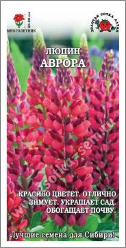 Цв. Люпин Аврора  (Золотая сотка)
