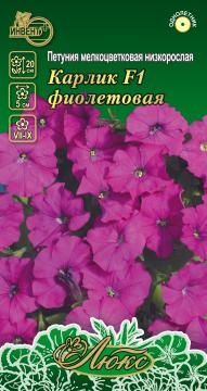 ЦВ Петуния низкорослая Карлик F1 фиолетовая  Инвент - плюсТұқымдар Карлик F1 Фиолетовая Төмен өскіш 