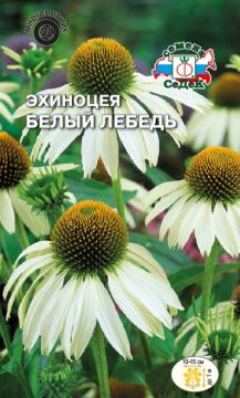 ЦВ. Эхинацея Белый лебедь Седек