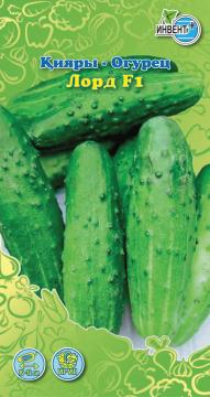 Огурец Лорд F1 Инвент-ПлюсТұқымдар Лорд F1  Қияры