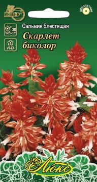 ЦВ Сальвия скарлет Скарлет биколор Инвент-ПлюсТұқымдар Скарлет Биколор Жылтыр сальвиясы 