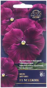 ЦВ. Виола Мэджик   Седек