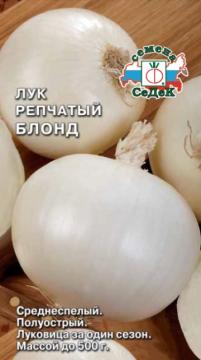 Лук Блонд (репч.)  Седек