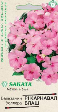 ЦВ Бальзамин Карнавал Бланш F1 Гавриш