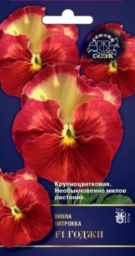 ЦВ. Виола Годжи   Седек