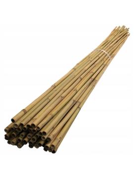 ОРШ:опора-бамбук  180см