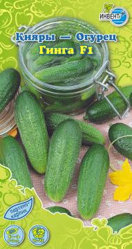 Огурец Гинга F1 Инвент-ПлюсТұқымдар Гинга F1  Қияры
