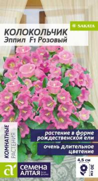 Цв. Комн. Колокольчик Эппил F1 средний розовый  /Сем Алт/