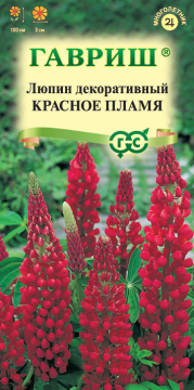 ЦВ Люпин Рассела Красное пламя Гавриш