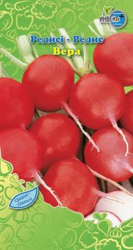 Редис Вера Инвент-ПлюсТұқымдар Вера  Редисі