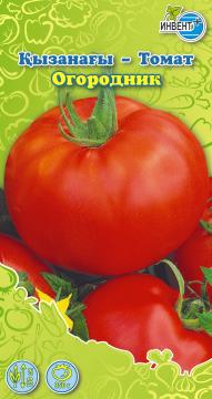 Томат Огородник Инвент-ПлюсТұқымдар Огородник Қызанағы 