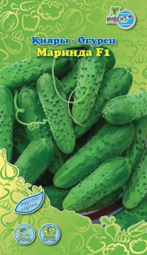 Огурец Маринда F1 Инвент-ПлюсТұқымдар Маринда F1  Қияры