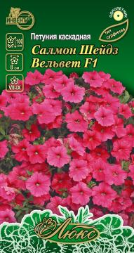 ЦВ Петуния каскадная Салмон шейдз Вельвет F1 Инвент - плюсТұқымдар Салмон Шейдз Вельвет F1  Сарқырам