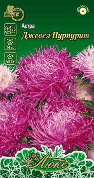 Астра Джевел Пурпурит Инвент-Плюс Тұқымдар Джевел Пурпурит Қашқаргүлі   / Люкс Сериясы