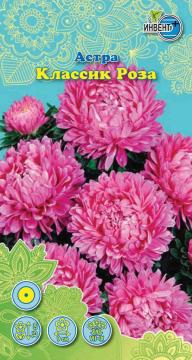 Астра Классик роза Инвент-Плюс Тұқымдар Классик Роза  Қашқаргүлі