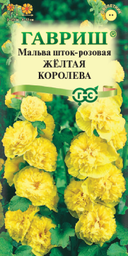 ЦВ Мальва Желтая королева Гавриш