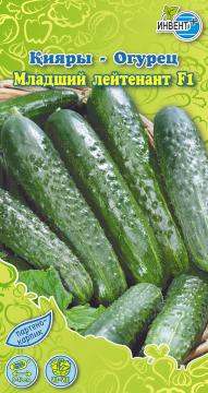 Огурец Младший лейтенант F1 Инвент-ПлюсТұқымдар Младший Лейтенант F1  Қияры