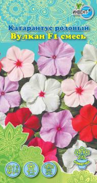 ЦВ Комн Катарантус Розовый Вулкан F1 смесь Инвент - плюсТұқымдар Вулкан F1 Қоспа Қызғылт катарантус