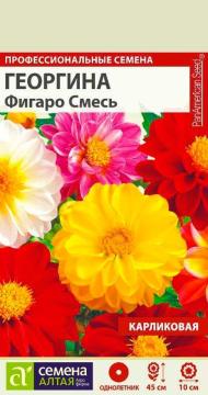 Цв. Георгина Фигаро смесь махровая   /Сем Алт/