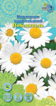 ЦВ Нивянник наибольший победитель Инвент-ПлюсТұқымдар Победительи Ең үлкен нивянигі