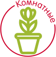 Комнатные