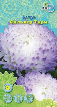 Астра Сильвер турм Инвент-Плюс Тұқымдар Сильвер Турм Қашқаргүлі