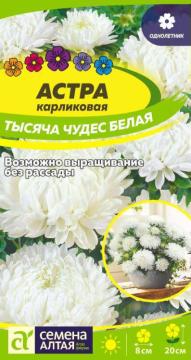 Цв. Астра Тысяча чудес белая карликовая  /Сем Алт/