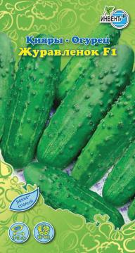 Огурец Журавленок F1 Инвент-ПлюсТұқымдар Журавлёнок F1  Қияры