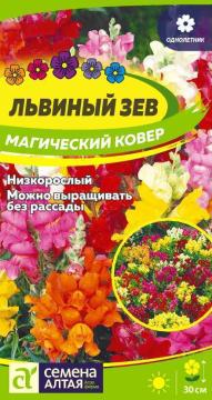 Цв. Львиный зев Магический ковер  /Сем Алт/
