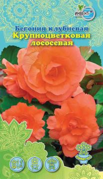 ЦВ Комн Бегония клубневая Крупноцветковая лососевая Инвент-ПлюсТұқымдар Лососевая Ірі гүлді түйнекті