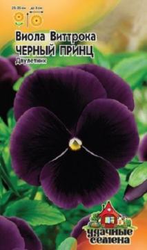 ЦВ Виола Витрока  Черный принц Гавриш Уд.с