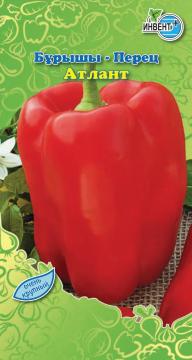 Перец Атлант Инвент-ПлюсТұқымдар Атлант Бұрышы