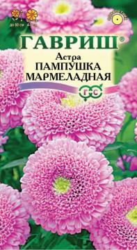 Астра Пампушка мармеладная (розовая) Гавриш