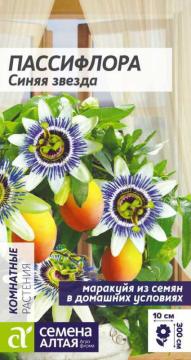 Цв. Комн. Пассифлора Синяя звезда /Сем Алт/