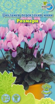 ЦВ Комн Цикламен персидский мини Розмари Инвент-ПлюсТұқымдар Розмари  Кішкентай парсы цикламені 
