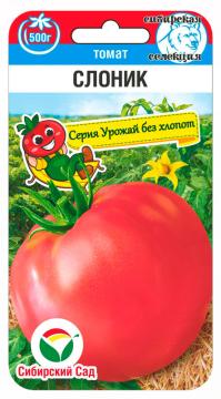 Томат Слоник  (Сиб.сад)