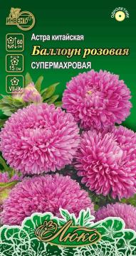 Астра Баллоун розовая Инвент-Плюс Тұқымдар Баллоун Розовая Қашқаргүлі   / Люкс Сериясы