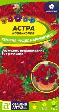 Цв. Астра Тысяча чудес карминная карликовая  /Сем Алт/