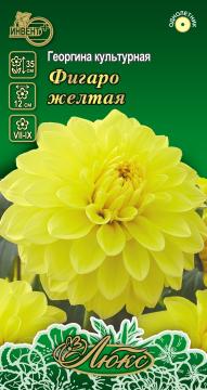 ЦВ Георгина культурная Фигаро желтая Инвент-Плюс,Тұқымдар Фигаро Желтая Екпе нарғызгүлі   / Люкс Сер