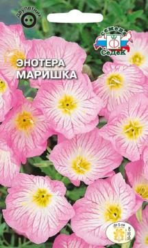 ЦВ. Энотера Маришка Седек