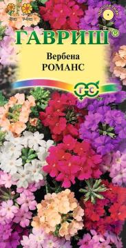 ЦВ Вербена гибридная Романс Гавриш