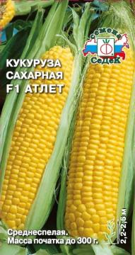 Кукуруза Атлет F1 (сахарная)  Седек