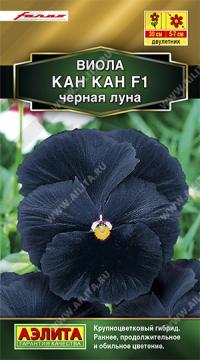Цв. Виола Кан-Кан F1 черная луна Аэлита
