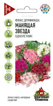 ЦВ Флокс Манящая звезда,Друммонда Гавриш